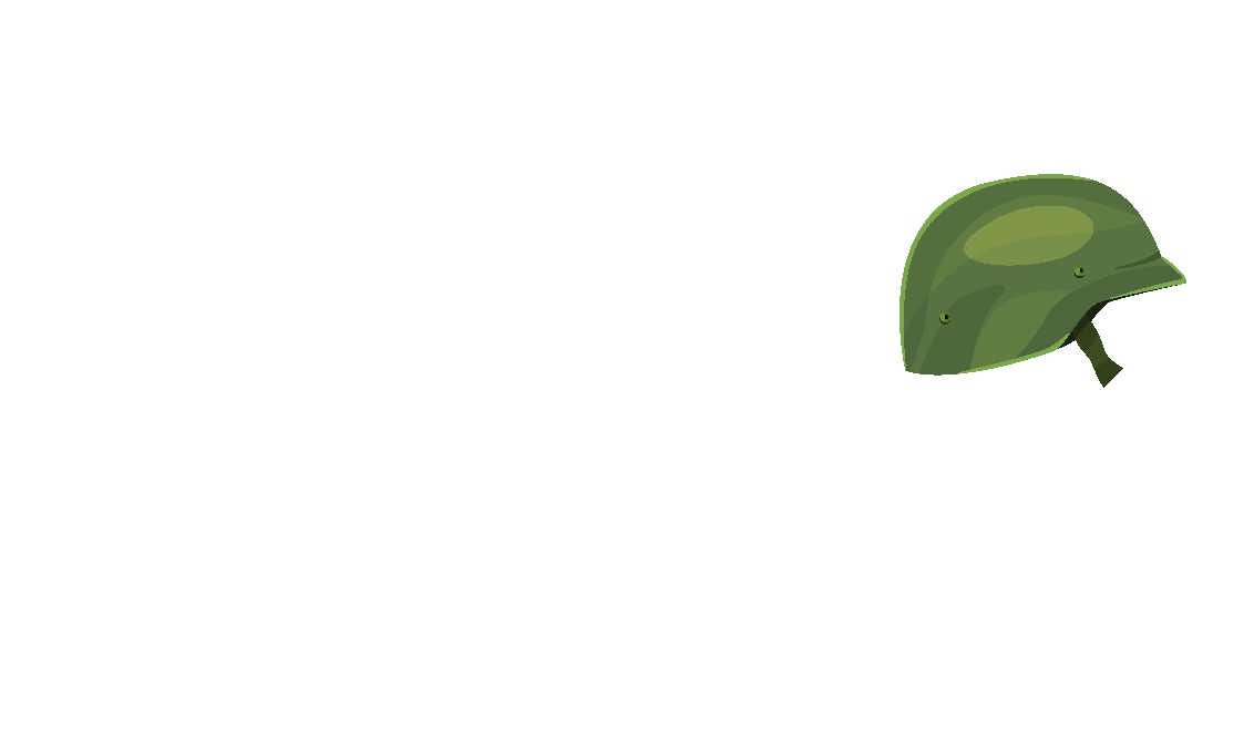 Project Veer